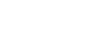University of York Logo